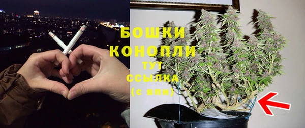 гидра Воткинск