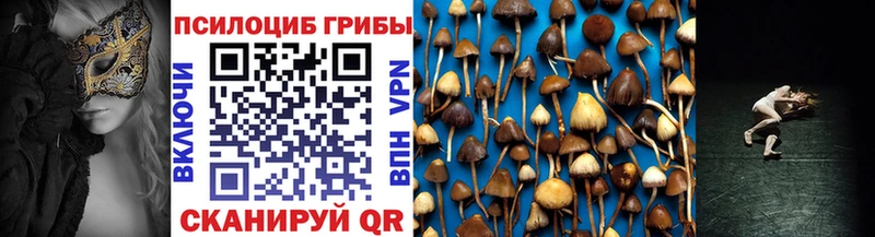 хочу   Котово  Псилоцибиновые грибы мухоморы 