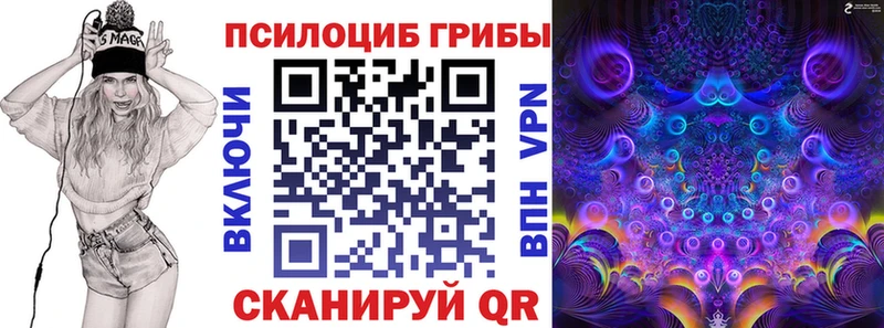 Галлюциногенные грибы Psilocybine cubensis Котово
